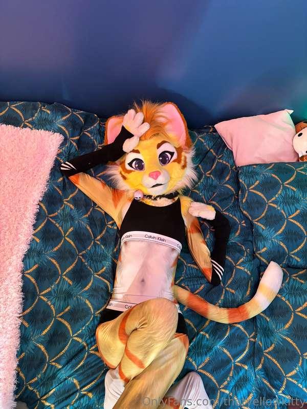 POV: Your looking at your cute cat girlfriend, what do you d..