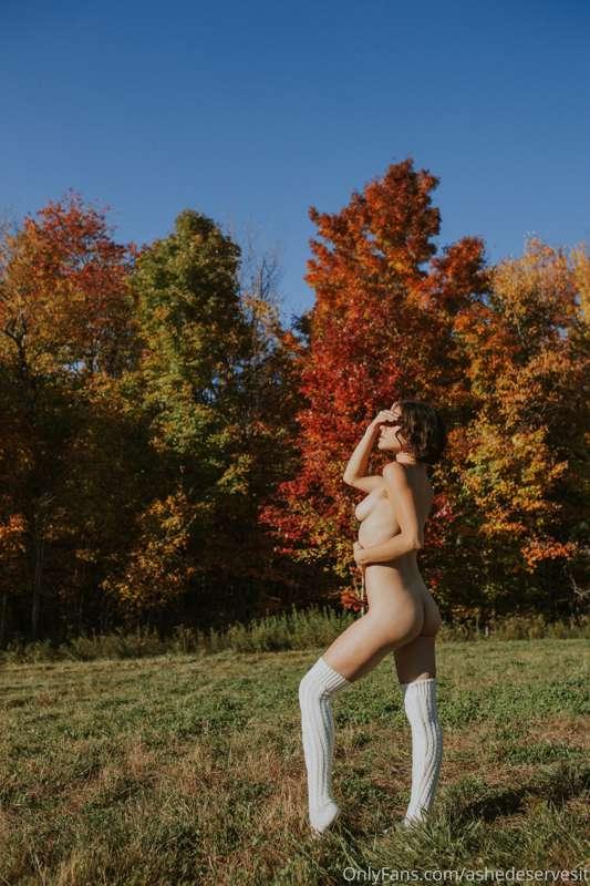 @asheraellis @asheraellis @asheraellis