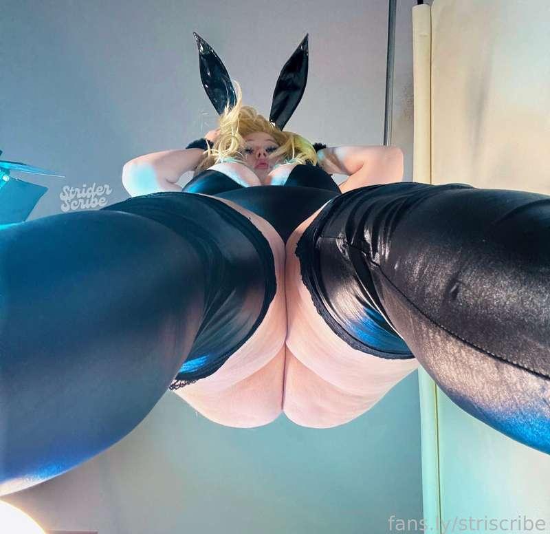 striscribe image #25