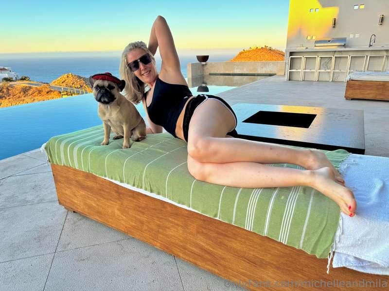 When we think about enriching our dogs’ lives, we often reac..