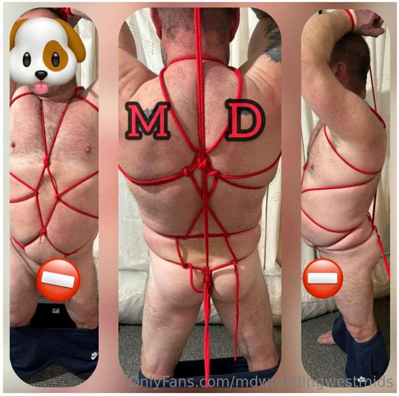 My Dawgggg… All tied up, just before Christmas…with no escap..