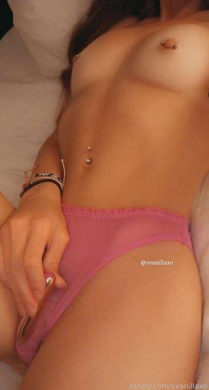 svanillaxo image #2