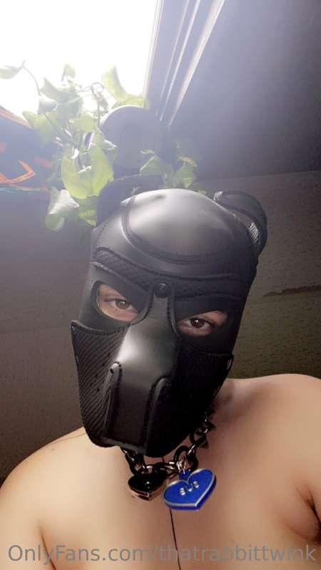 puppy_dj image #2