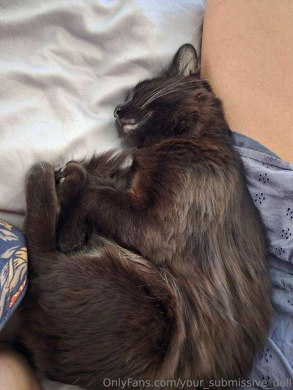 He's so happy, he must know how lucky he is 😄🐈‍⬛️💕