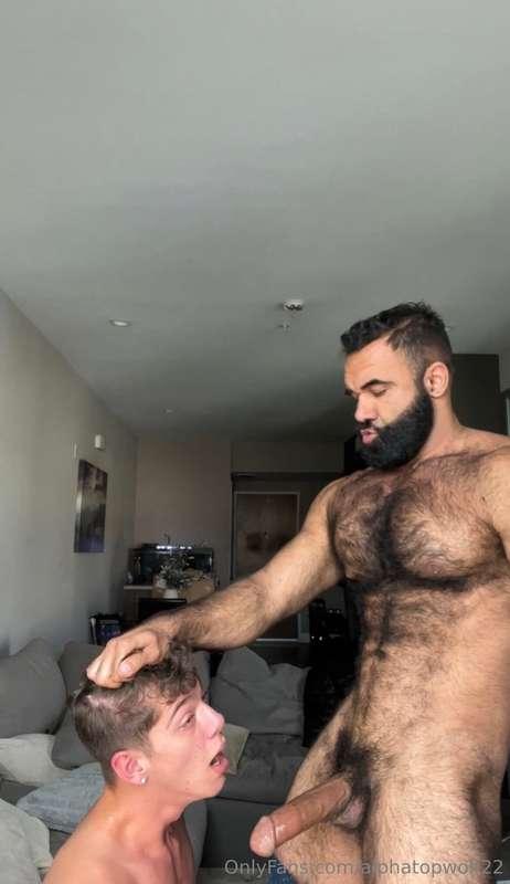 alphatopwolf22 image #4