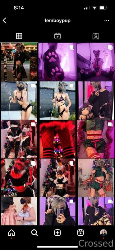 princesscrossed image #0