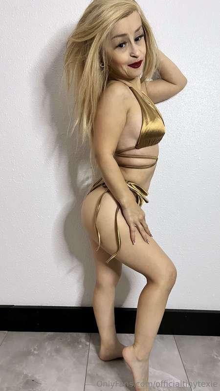 officialtinytexie image #1