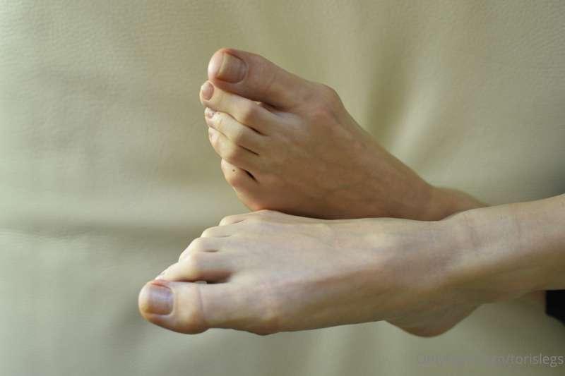 torislegs image #0