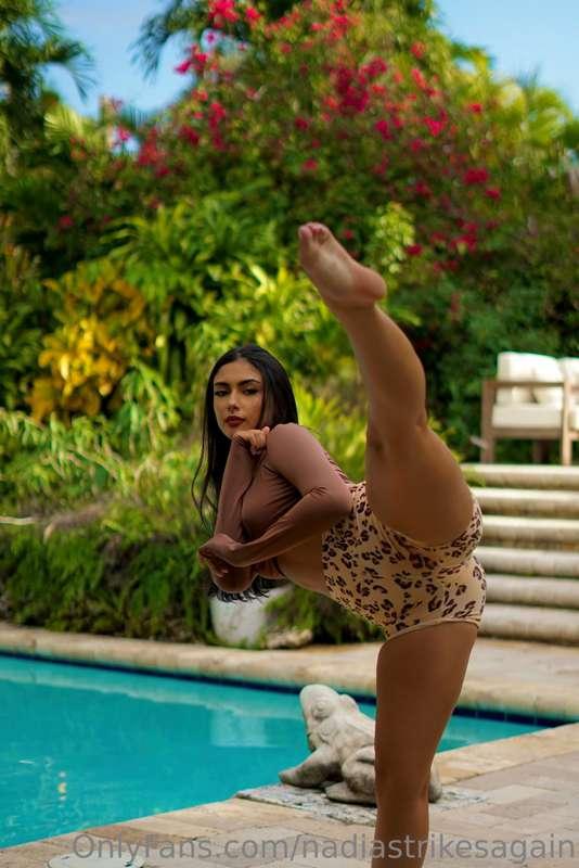 🐆
