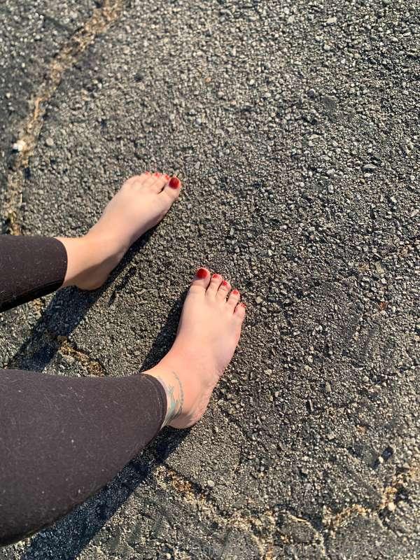 lexusperfection image #0