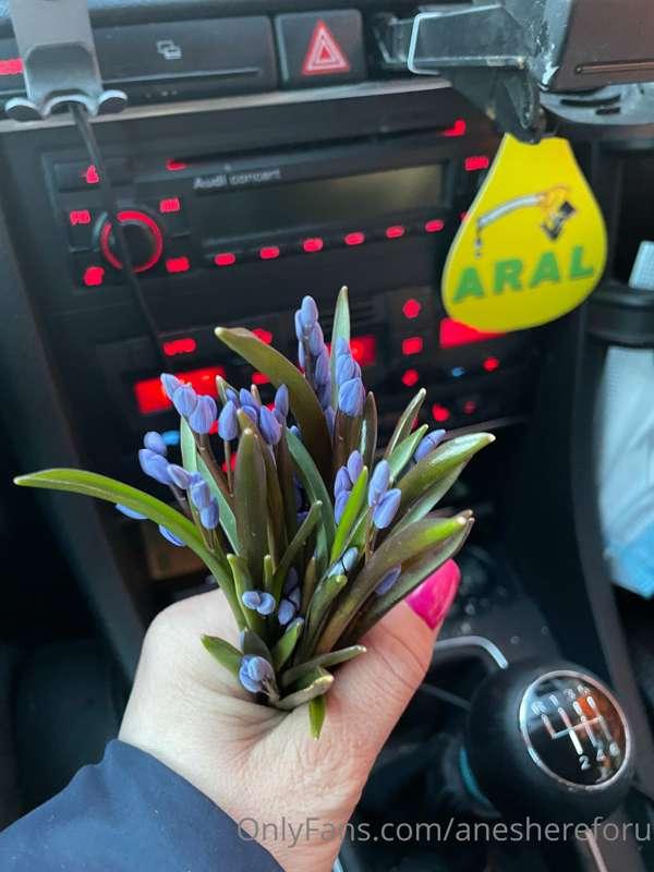 Spring flowers!!!