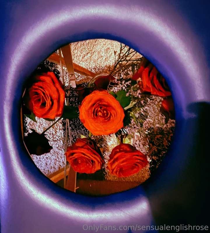 This is my MILKING TABLE ! What do you think you put through..