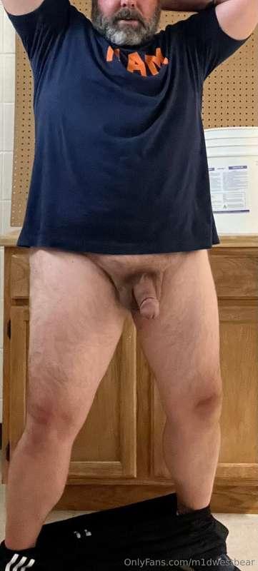 m1dwestbear image #0