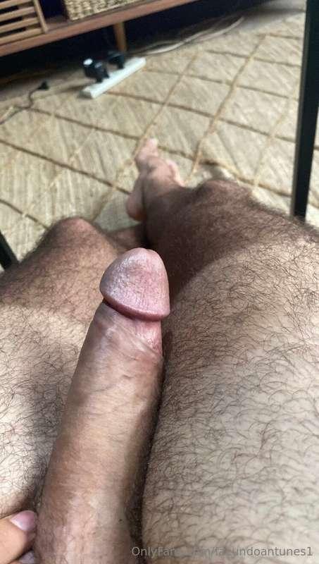 Piernas peludas? 😮‍💨🐻  Hairy legs? 😮‍💨🐻