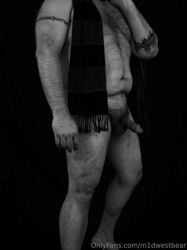 m1dwestbear image #4