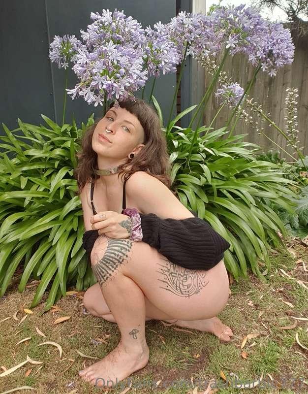 Little garden fairy makes her way into your backyard, better..