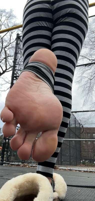 Sniff or stare?