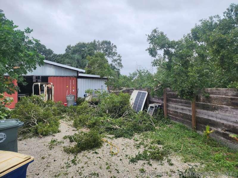 East coast of Florida. A tornado took out a few trees, some ..