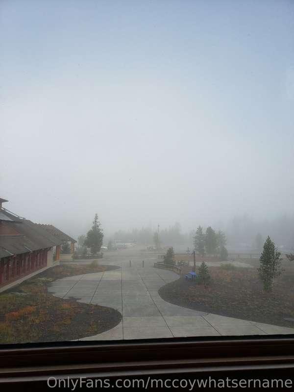 mccoywhatsername image #2