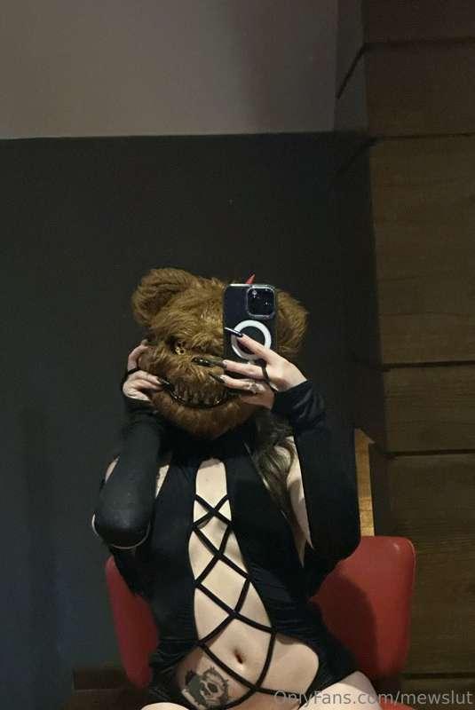 ⋆♡⋆》ʕ•ᴥ•ʔ《⋆♡⋆