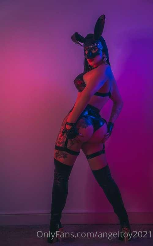 Hi 🐰 , how are you guys ? what a delicious weekend, lots of ..