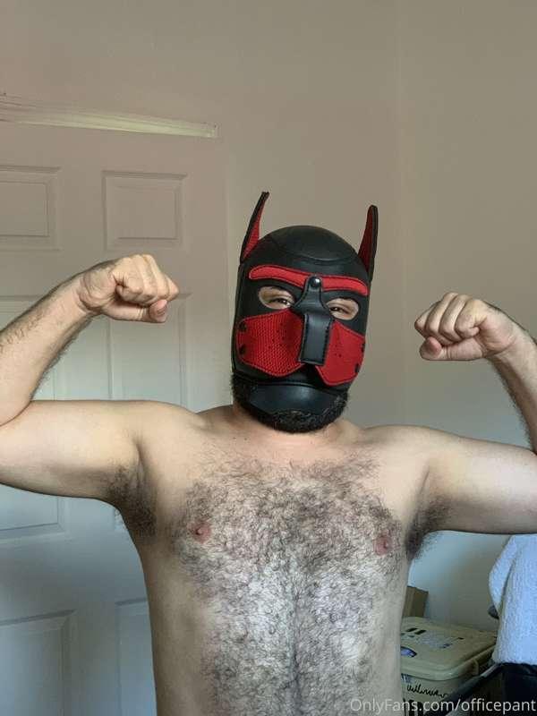 • Conozcan a Rojo, mi oso. Sus huevos están llenos de semen ..
