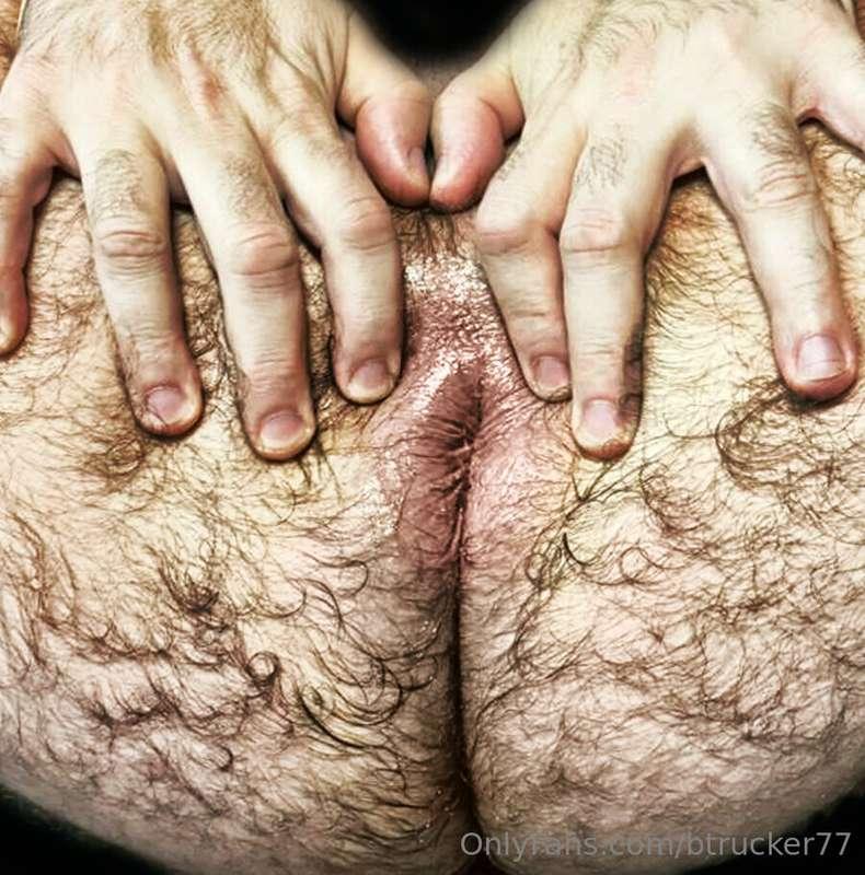 for the fans of my ass