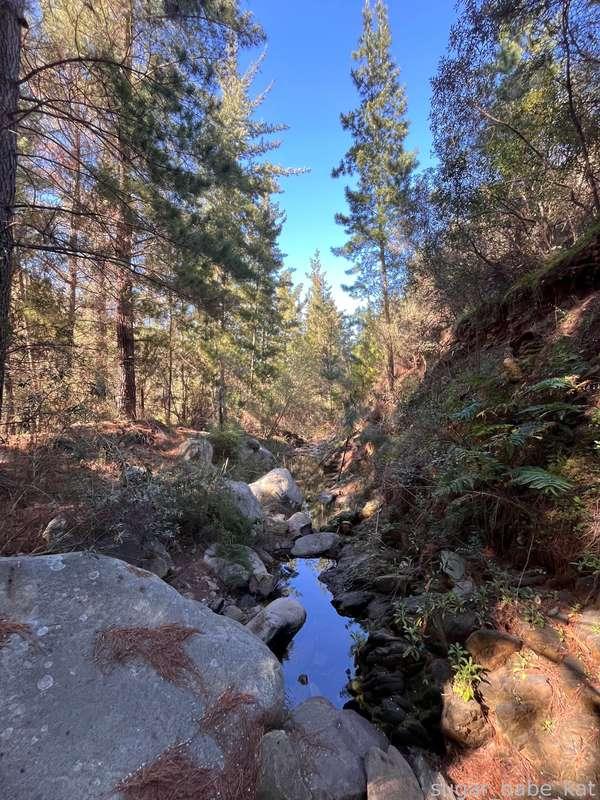 sugar_babe_kat image #17