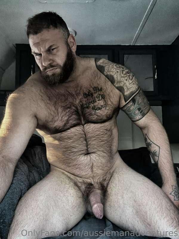 Who can cheer up this grumpy bear…?? 🐻