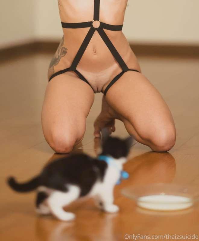 thaizsuicide image #0