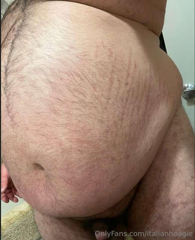 Up close and personal, chubby bear 🐻 🐷 