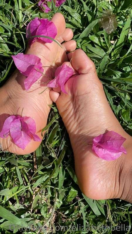 elizabethbella image #1