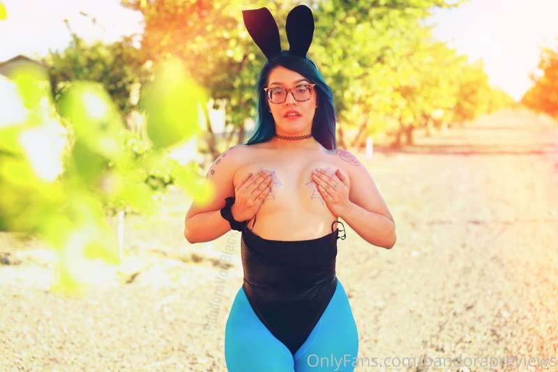 Get the full Bulma Bunny Set !
😳 Just send a tip !
$5- a set..