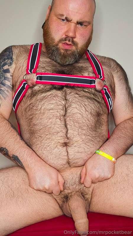 mrpocketbear image #14