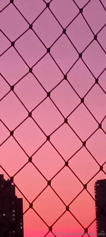 These colors... ❤️