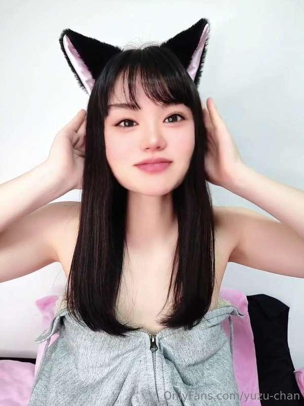 Fact: Cats are hormonally driven to mate, and this sex drive..