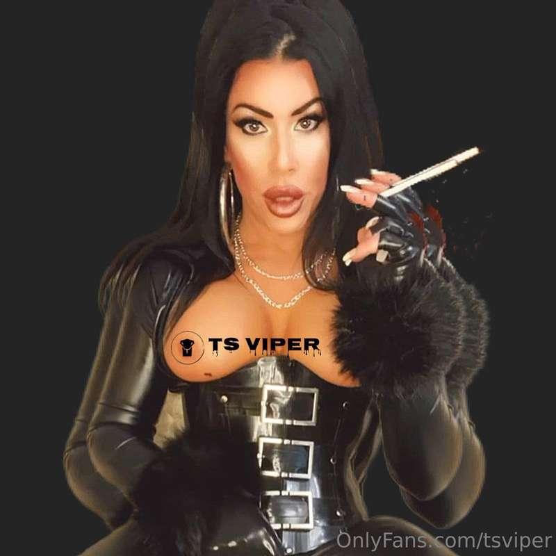 tsviper image #0