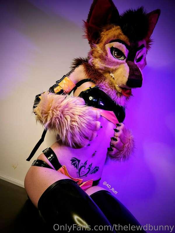 ad_rutt image #1