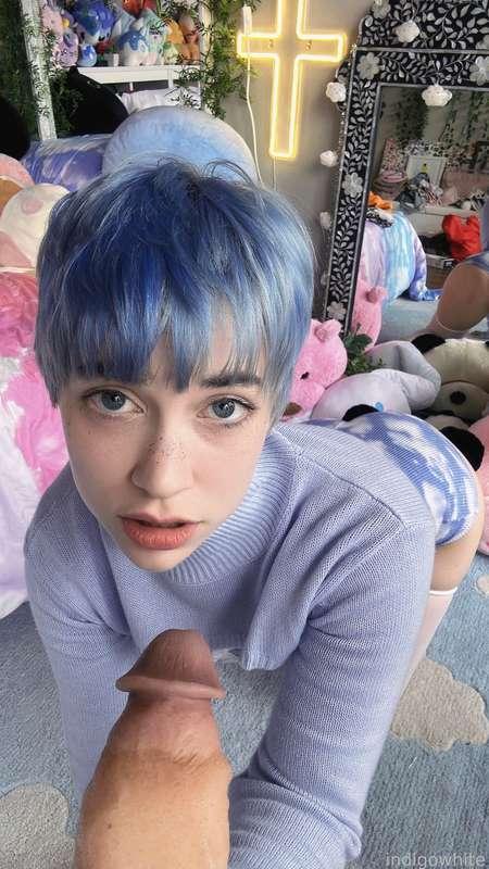 indigowhite image #94