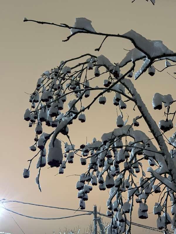 February presses grayness, and even the air seems heavy... 😔..
