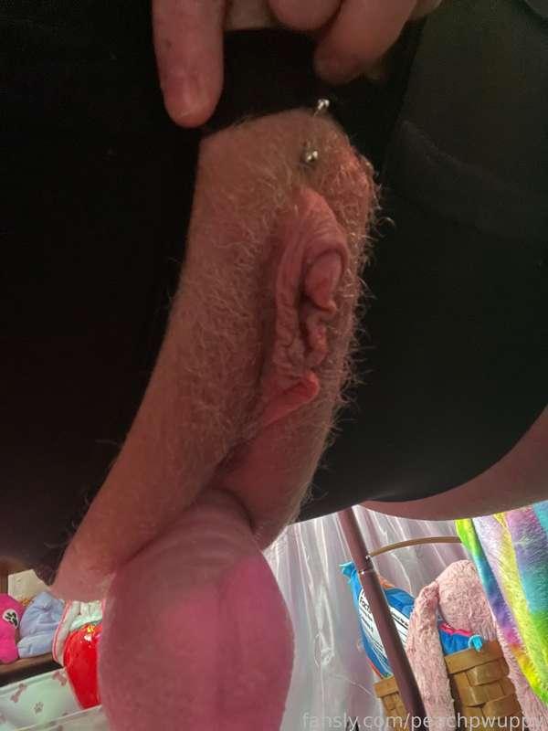 peachpwuppy image #1