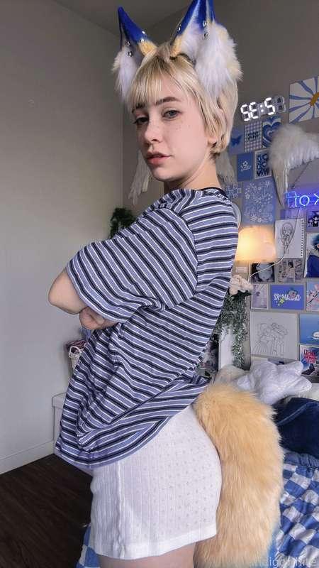 indigowhite image #16