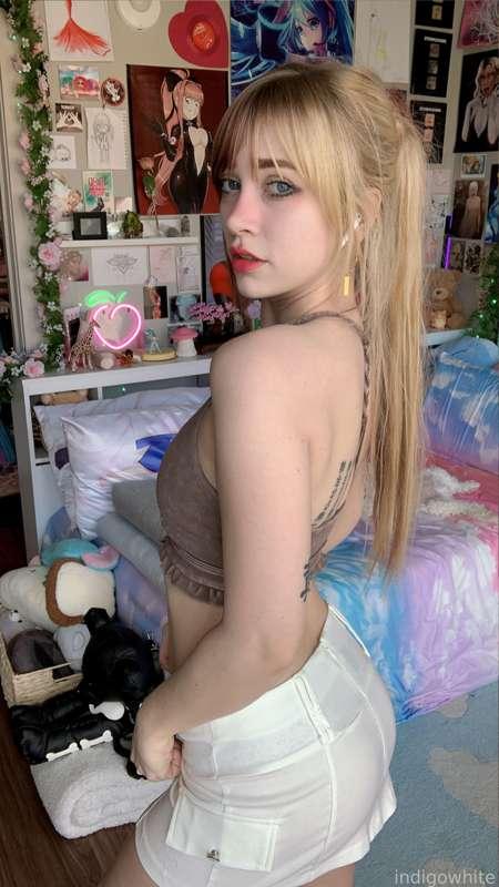 indigowhite image #10