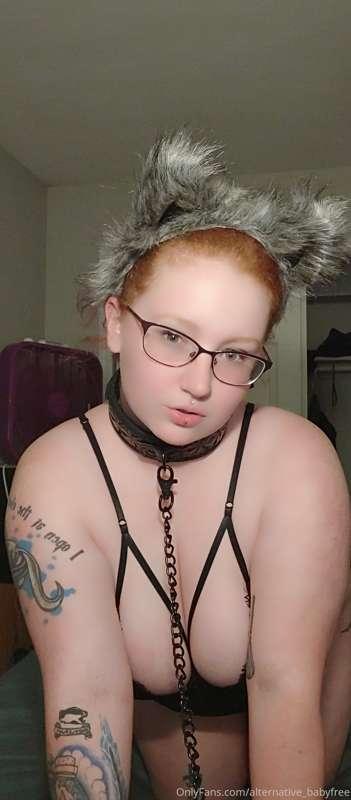 Hold my collar?