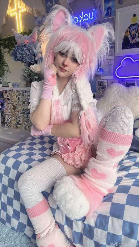 indigowhite image #54