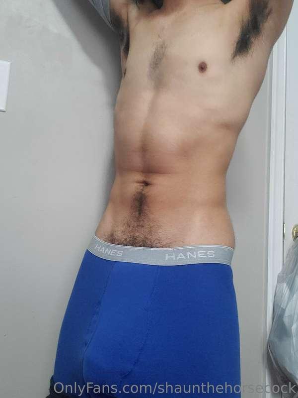 shaunthehorsecock image #1