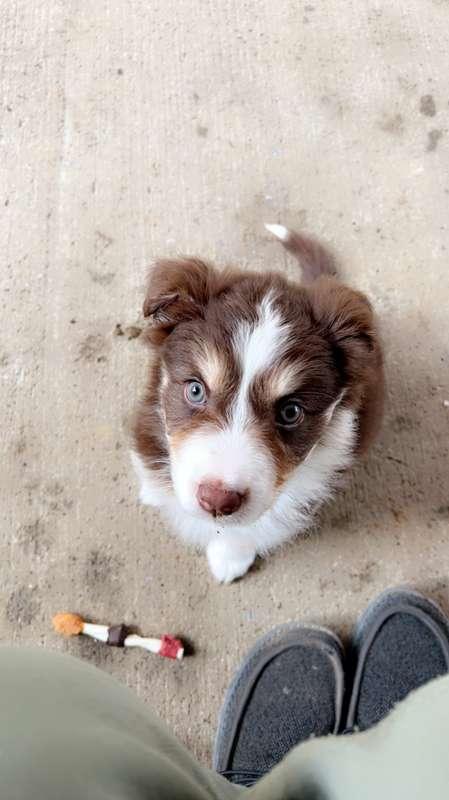 My beautiful baby!!!