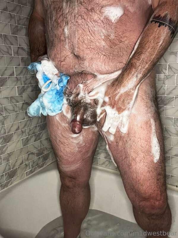m1dwestbear image #4