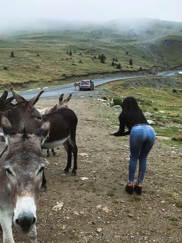 With @hotgiselle369 on mountin roads...this woman has an ASS..