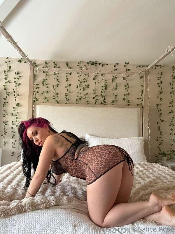 DAY 6 OF 31 DAYS OF HALLOWEEN!!😈🎃👻 CHEETAAAHH TIME!!🐆🐆🐆 UNLO..